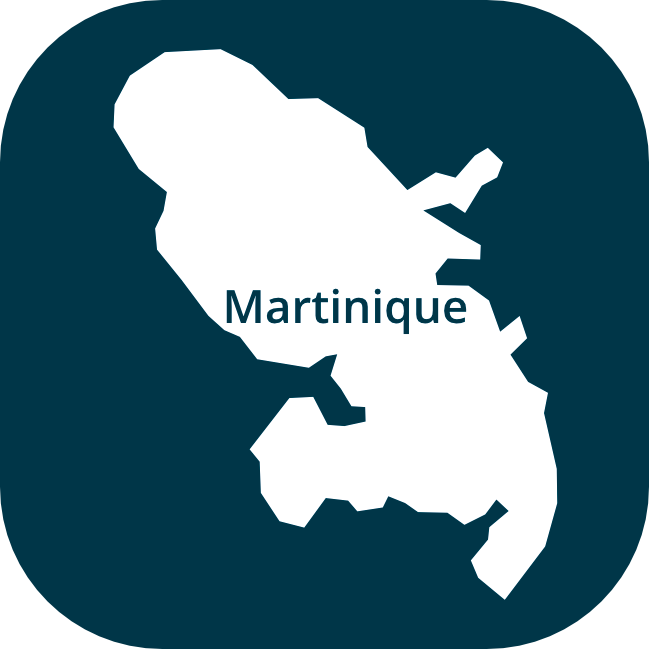 Icones-region-Martinique